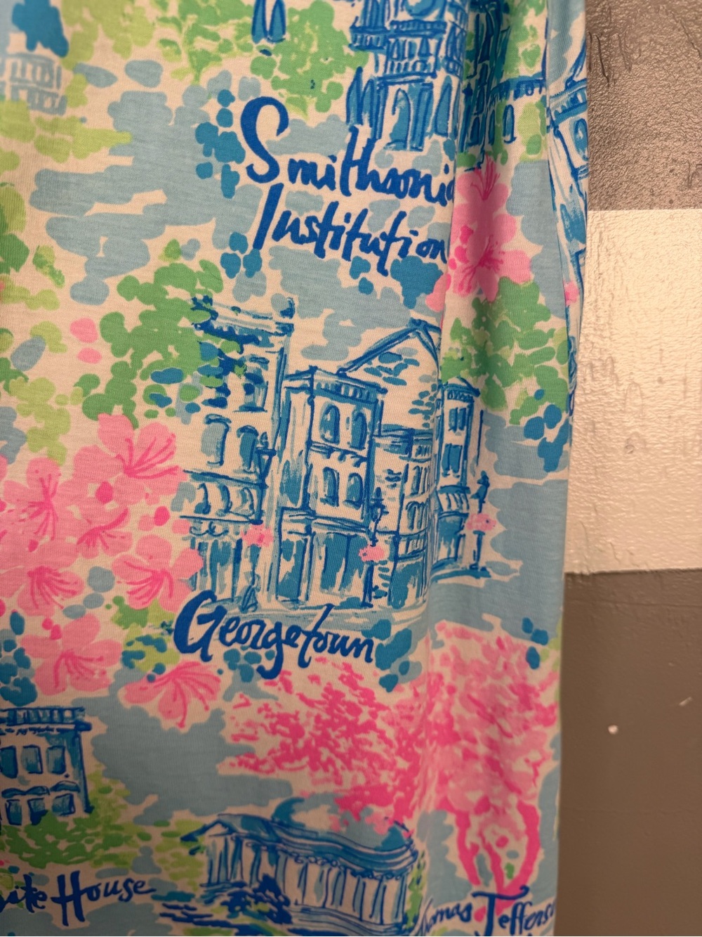 Lilly Pulitzer Lilly Loves DC Kristen Swing Dress Small Blue & Pink - Picture 6 of 9